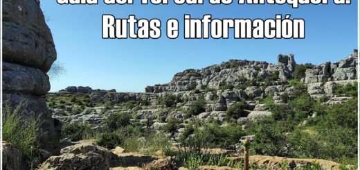 Guía-Torcal-Antequera