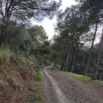 Pista-Forestal-Sendero-Montes-Malaga