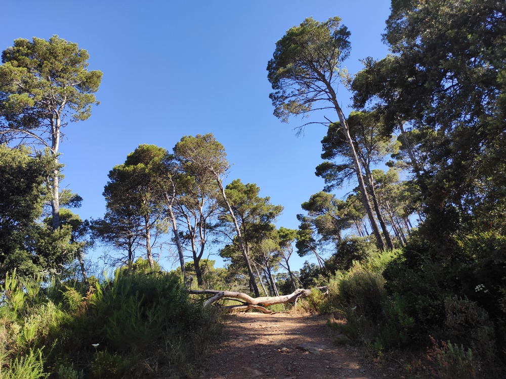 Paisaje-Montes-Malaga-Mirador-Cochino