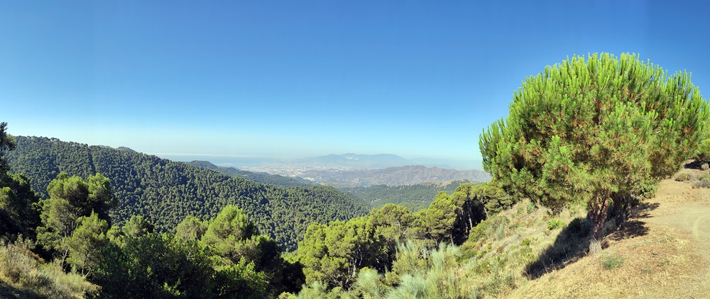 Panorámica-Malaga-Mirador-Cochino