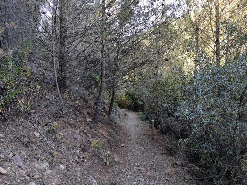 Sendero-Mirador-Cochino