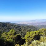 Mirador del Cochino al Vázquez Sell. Ruta circular por los Montes de Málaga