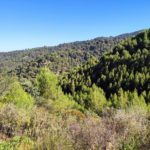 3 Rutas por los Montes de Málaga que debes hacer
