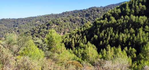 Vistas-Montes-Malaga