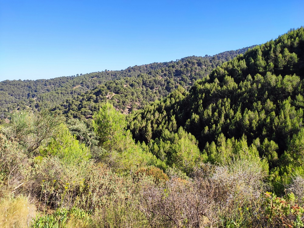 Vistas-Montes-Malaga
