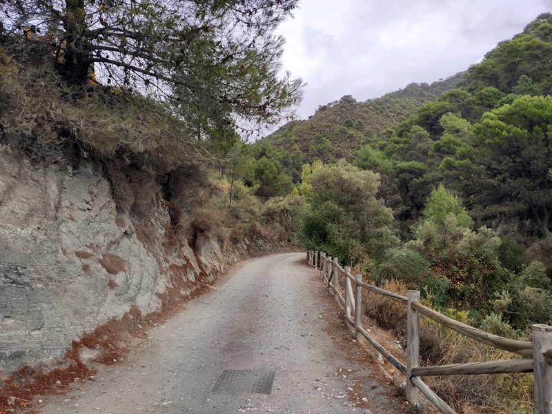 Camino-Acebuchal-Malaga