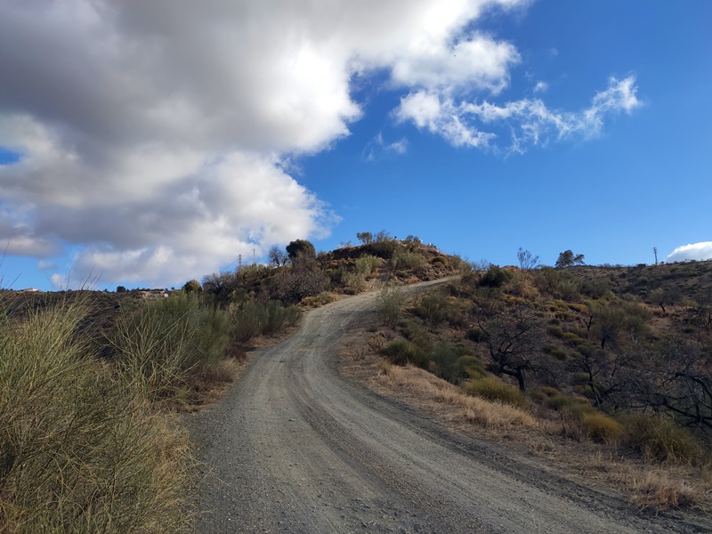 Ruta-Cerro-Tio-Cañas-Benalgabon