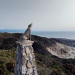Postal-Mirador-Cañada-Lobo
