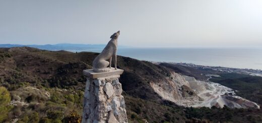 Postal-Mirador-Cañada-Lobo