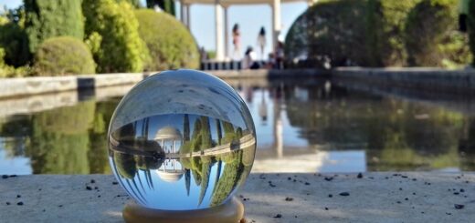 Botanical-Garden-Malaga