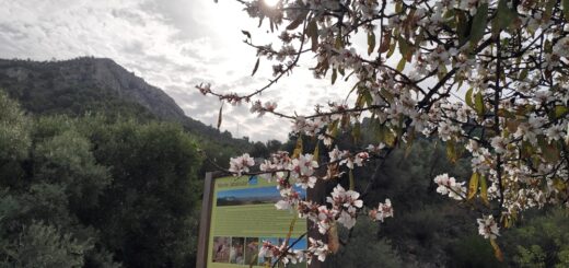 Sendero-Jabalcuza-Almendros