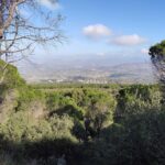 Vistas-Valle-Guadalhorce