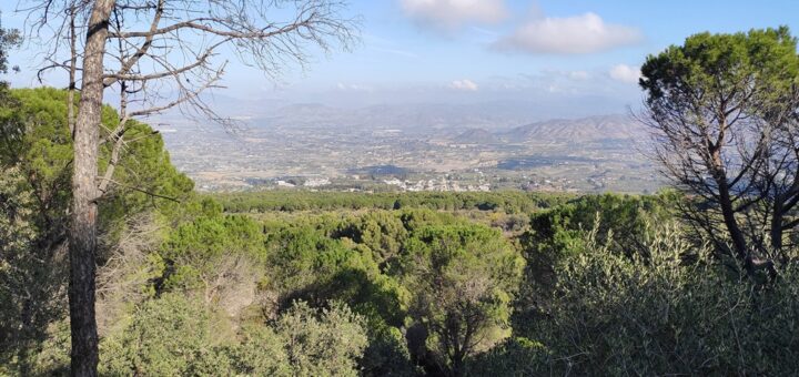 Vistas-Valle-Guadalhorce