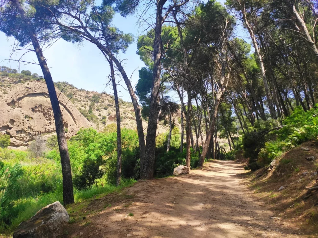 Pico-Convento-Sendero-Gaitanejo