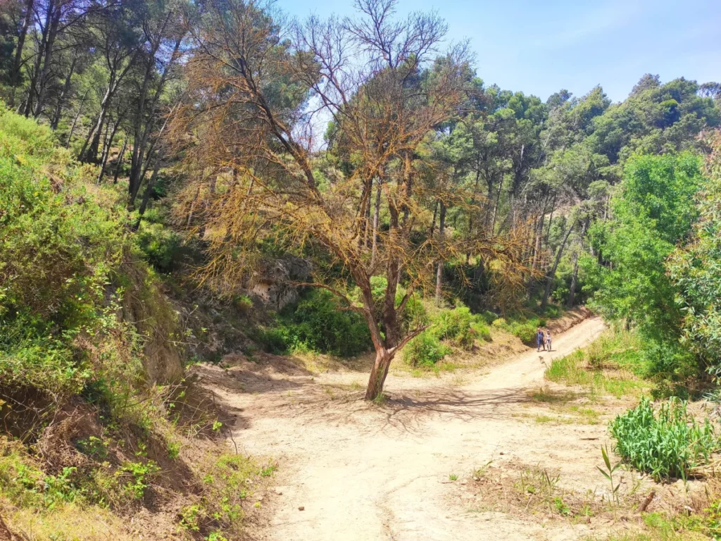 Sendero-Gaitanejo-Vuelta