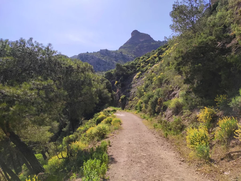 Sendero-Pico-Convento