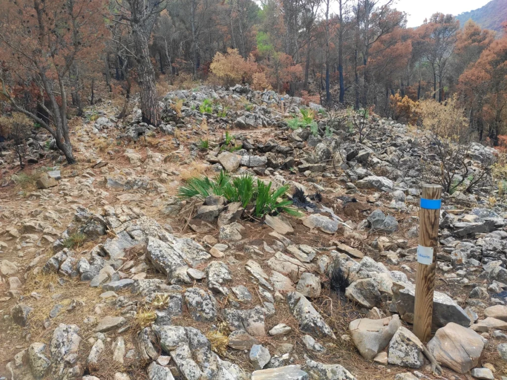 Baliza-Ruta-Azul-sendero-Bola-de-Mijas-Puerto-de-la-Encina