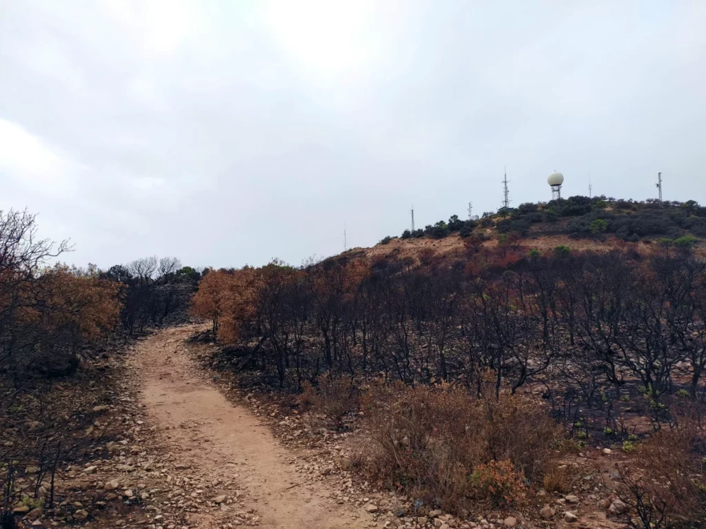 Bola-Mijas-desde-Sendero