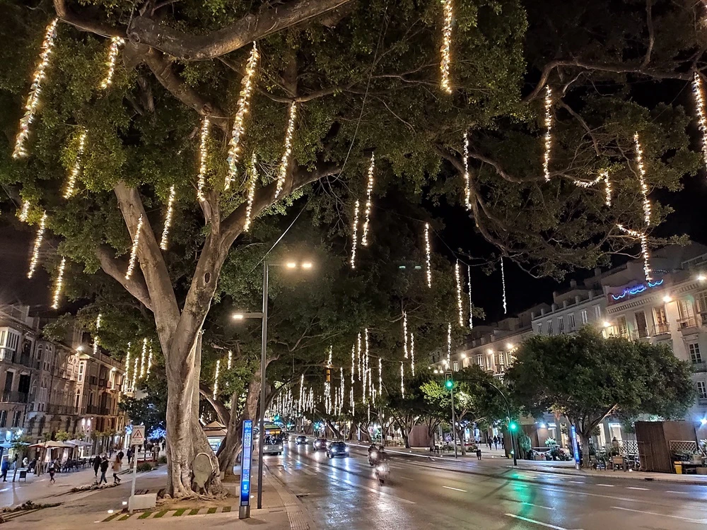 Christmas-Lights-in-Malaga-Alameda