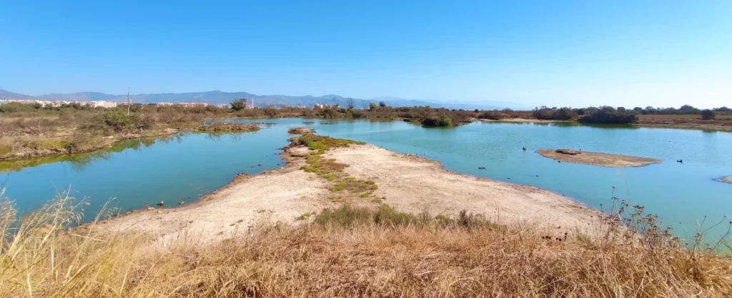 Laguna-Grande-Desembocadura-Guadalhorce