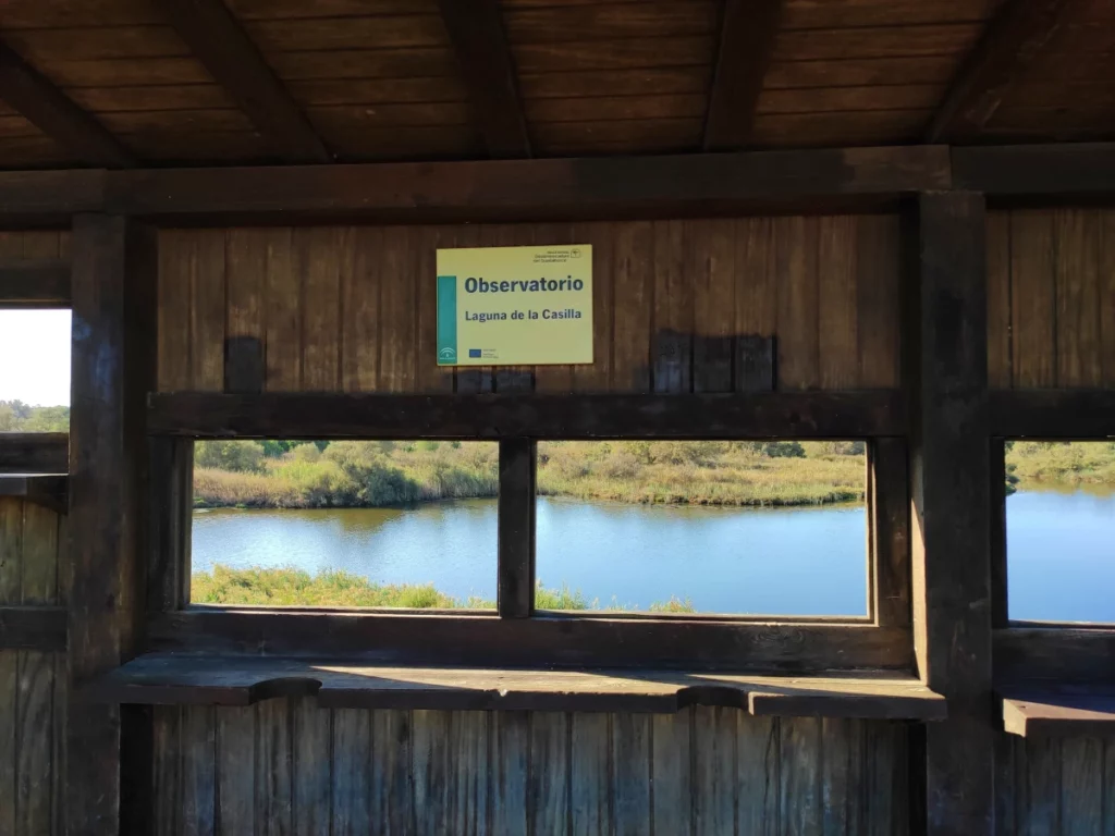 Observatorio-Laguna-Casilla-Desembocadura-Guadalhorce