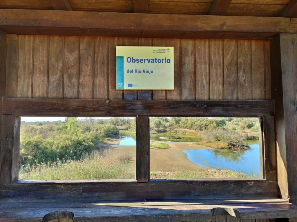 Observatorio-Río-Viejo-Desembocadura-Guadalhorce