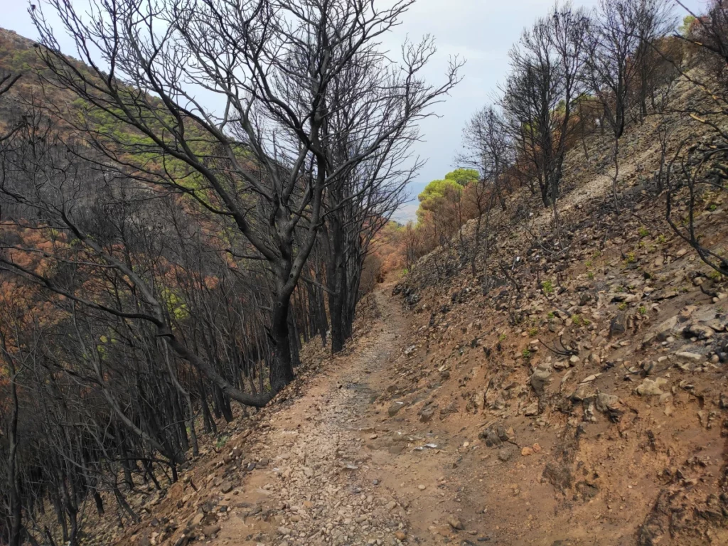 Sendero-Bajada-Bola-de-Mijas-Puerto-de-la-Encina