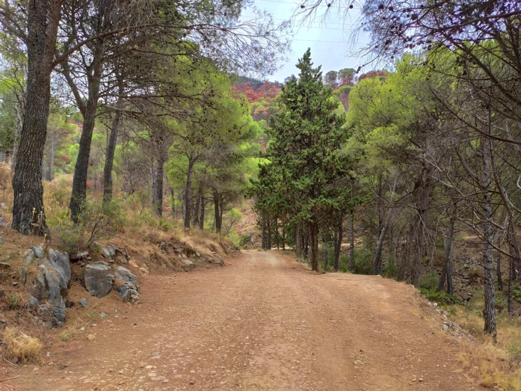 Sendero-Fuente-Acebuche-Ruta-Azul