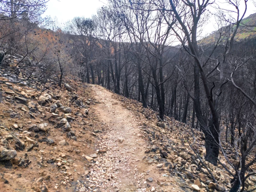 Sendero-incendio-Bola-de-Mijas-Puerto-de-la-Encina