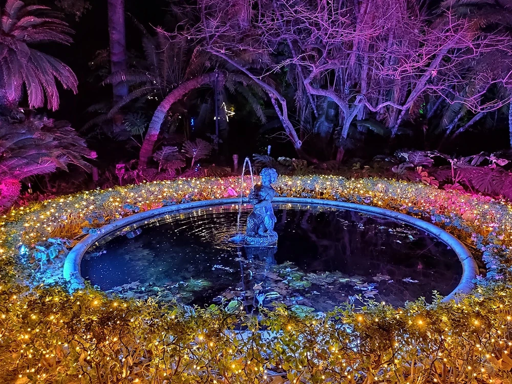 Christmas-Lights-Botanical-Garden-Malaga