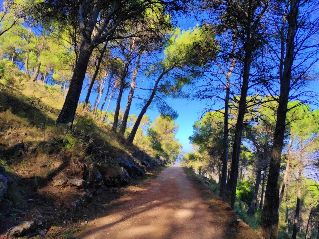 Sendero-Pinar-Alhaurín-Málaga