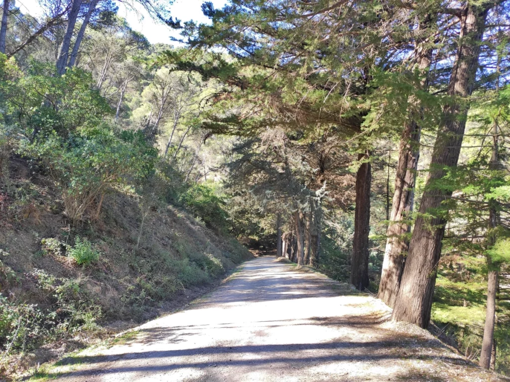 Sendero-Lagar-Torrijos-Málaga