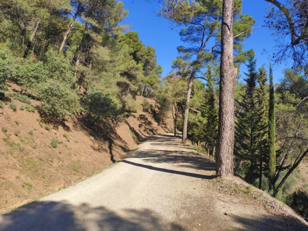 Sendero-tierra-ruta-Lagar-Torrijos