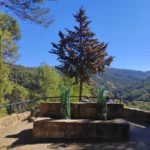 Ruta circular al Lagar de Torrijos - Montes de Málaga