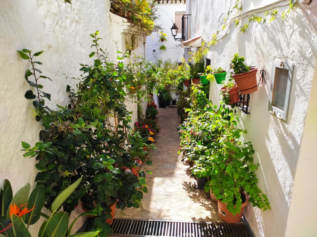 Calles-Casares-Málaga