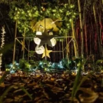 Luces-Botanico-Malaga