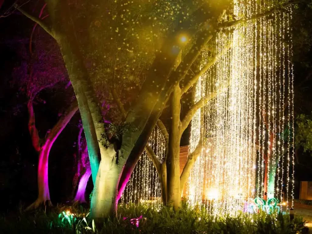 Luces-Botanico-Málaga-2025-general